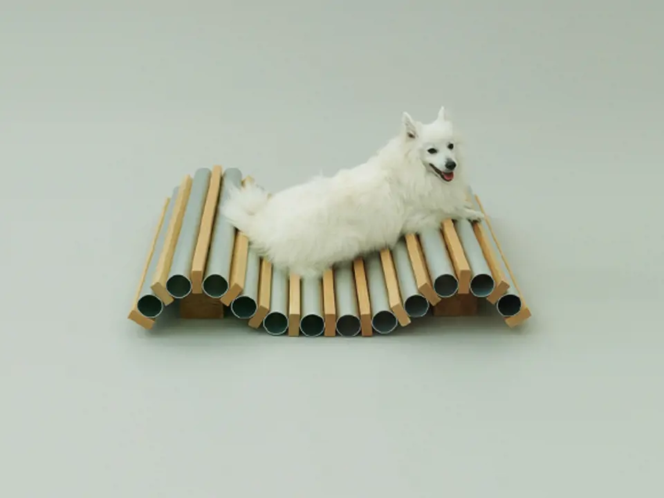 Architecture for Dogs 3