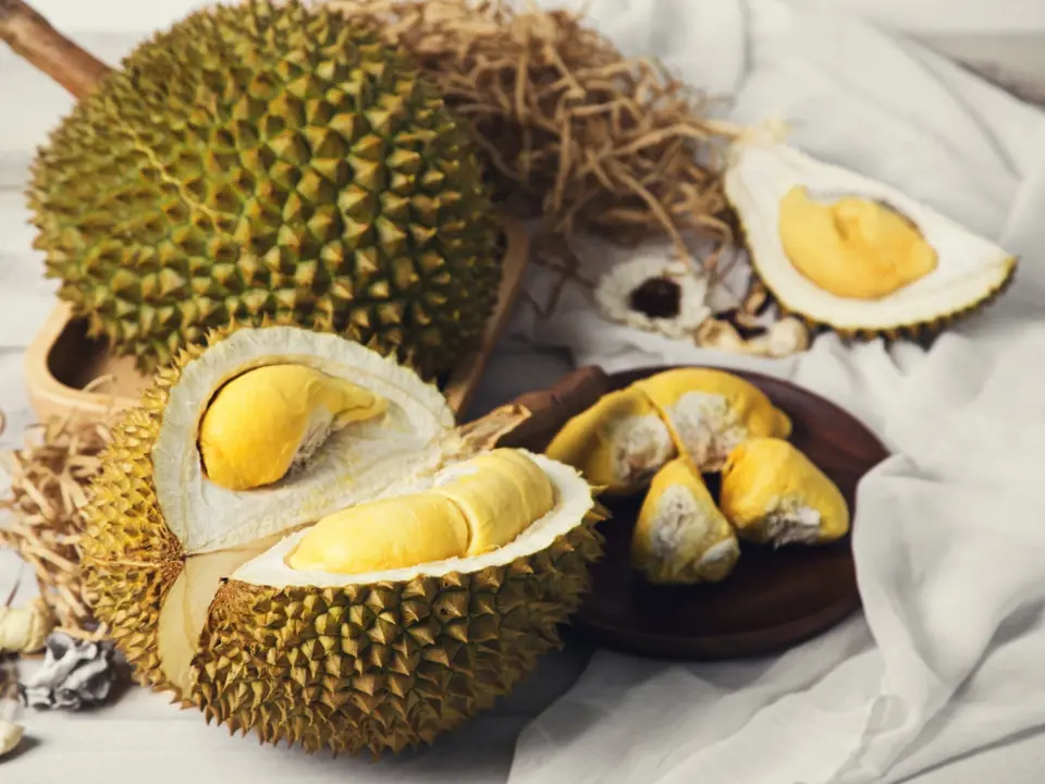 Durian má poměrně velké plody