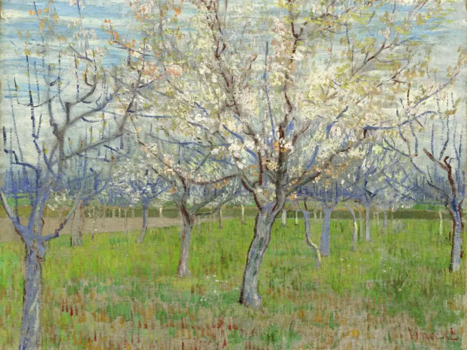 Van Gogha inspirovaly ke zpodobení kvetoucích stromů japonské tisky.