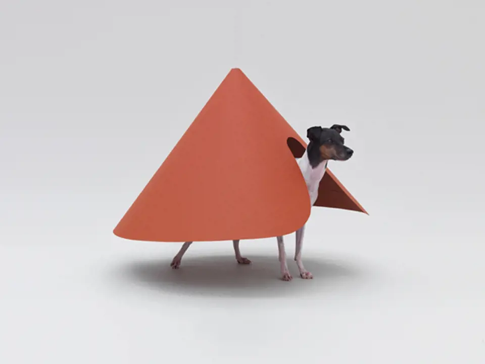 Architecture for Dogs 2