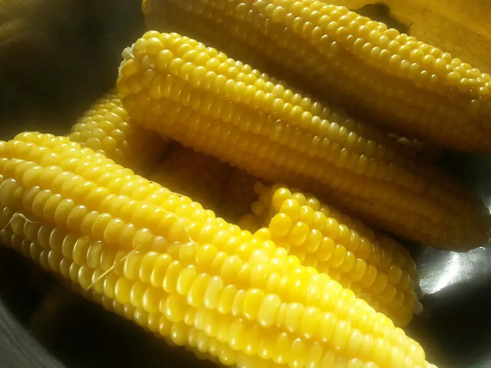 Nasládlá kukuřice většinou chutná i dětem. Kromě vlákniny obsahuje také hořčík, železo a draslík.