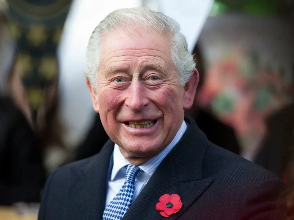 Princ Charles čelil mnoha obviněním, které vznesl jeho syn Harry.