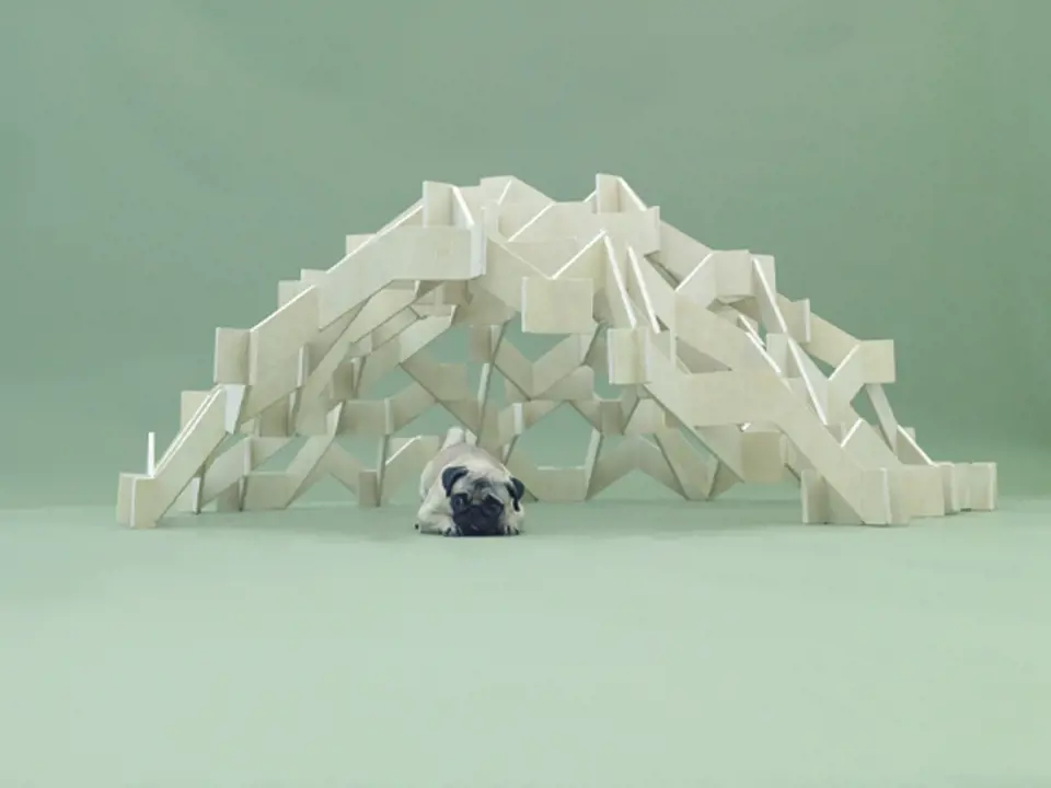 Architecture for Dogs 5