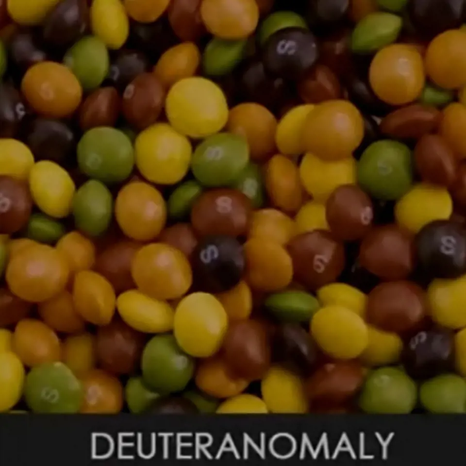 Deuteranomalie je částečná verze poruchy, při níž má člověk sníženou schopnost vidět zelenou barvu.