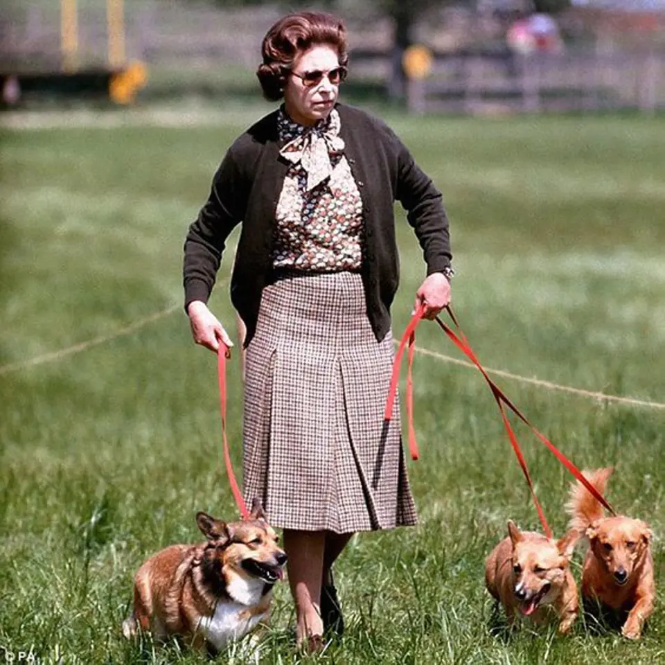 Královna Alžběta II. je velkou milovnicí psů.