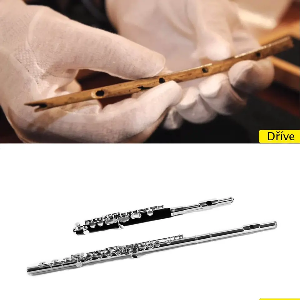 Hudební nástroj - flétna - ta nejstarší pochází z místa ležícího na území dnešního Německa a je vyrobena z kosti