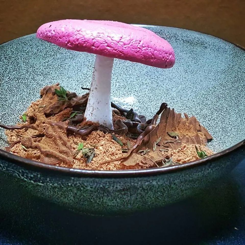 Další smrtelná houba, přitom je čokoládový dortík.
