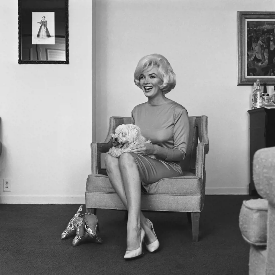 15. Frank Sinatra věnoval Marilyn, aby ji utěšil z rozchodu s Arthurem Millerem, maltézského teriéra. Pes dostal jméno Mafia Honey (zkáceně Maf) a strávil s Marilyn poslední dva roky jejího života.