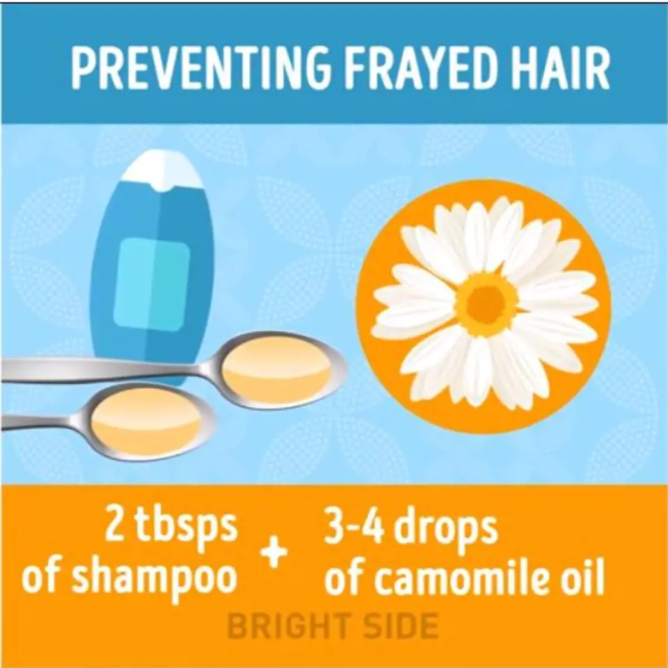 Trápí vás roztřepené konečky vlasů? Směs 2 lžic běžného šamponu se 3 - 4 kapkami oleje z heřmánku vám pomůže.