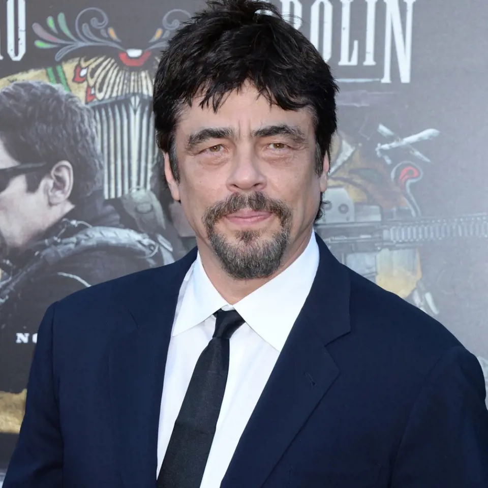 Herec Benicio Del Toro letos obdrží cenu prezidenta festivalu Jiřího Bartošky