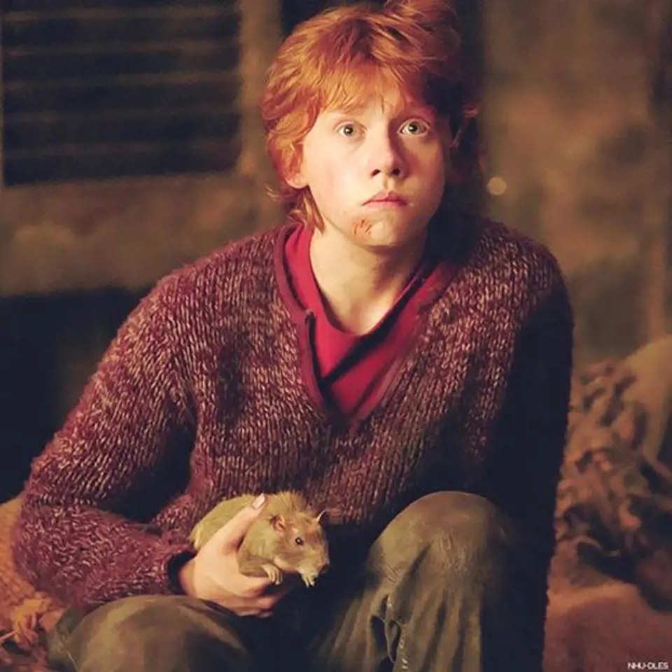 Harry Potter a vězeň z Azkabanu - Rupert Grint coby Ron Weasley